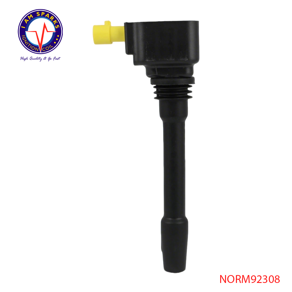 NORM92308