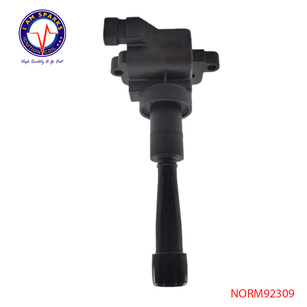 NORM92309