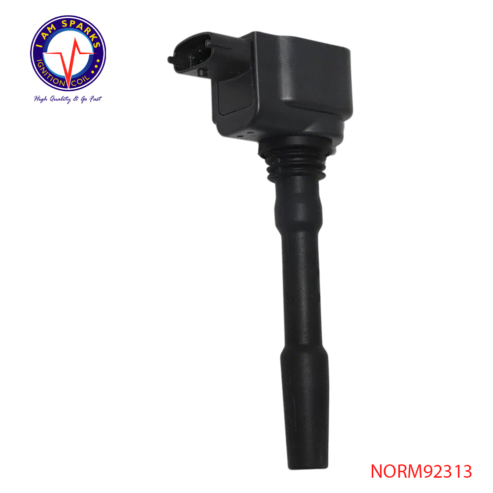 NORM92313