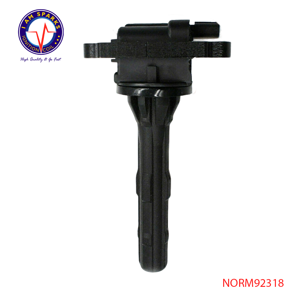 NORM92318