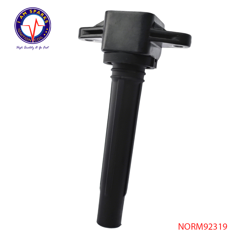 NORM92319