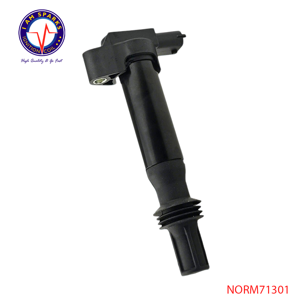 NORM71301