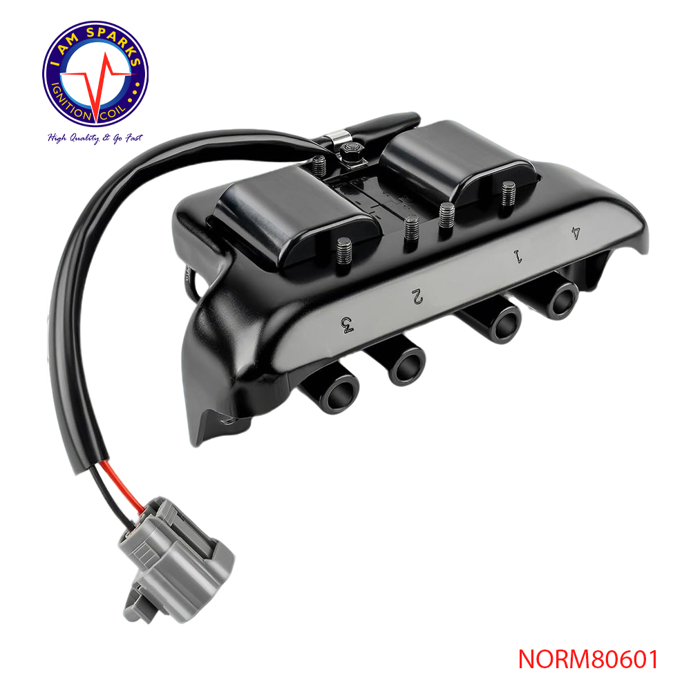 NORM80601