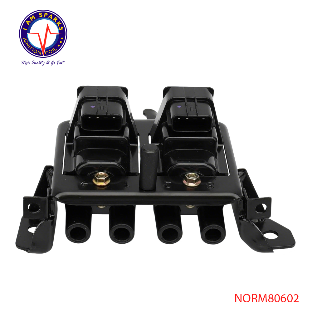 NORM80602