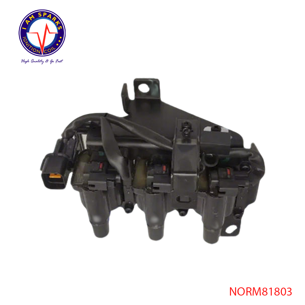 NORM81803