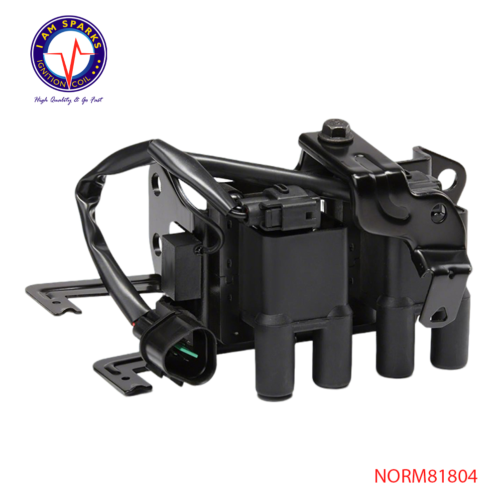 NORM81804