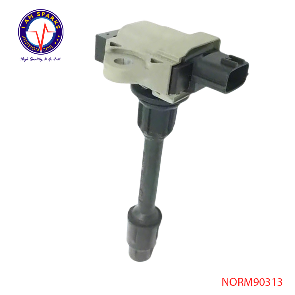 NORM90313