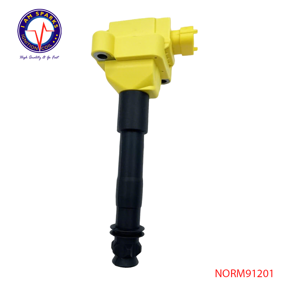 NORM91201