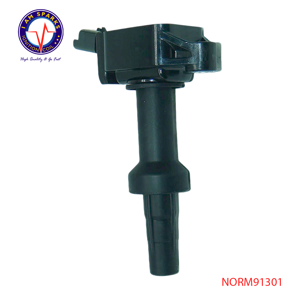 NORM91301