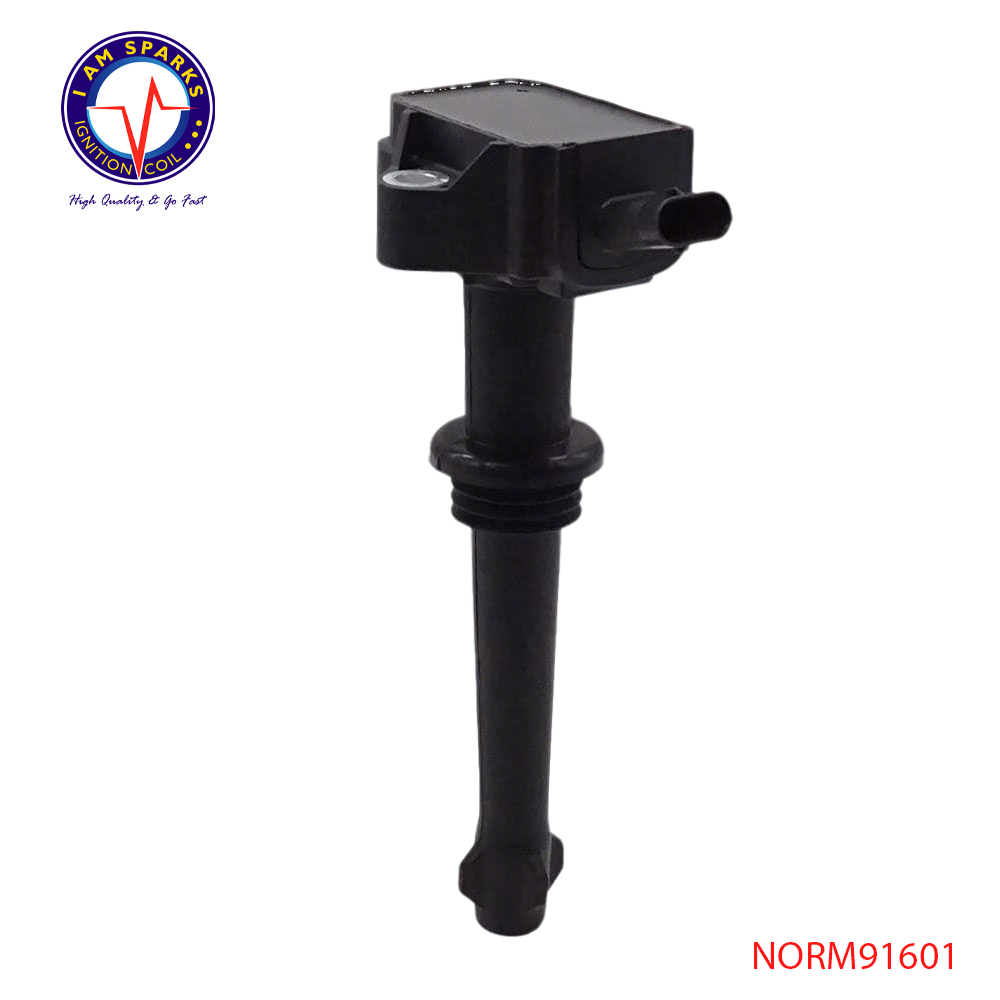 NORM91601