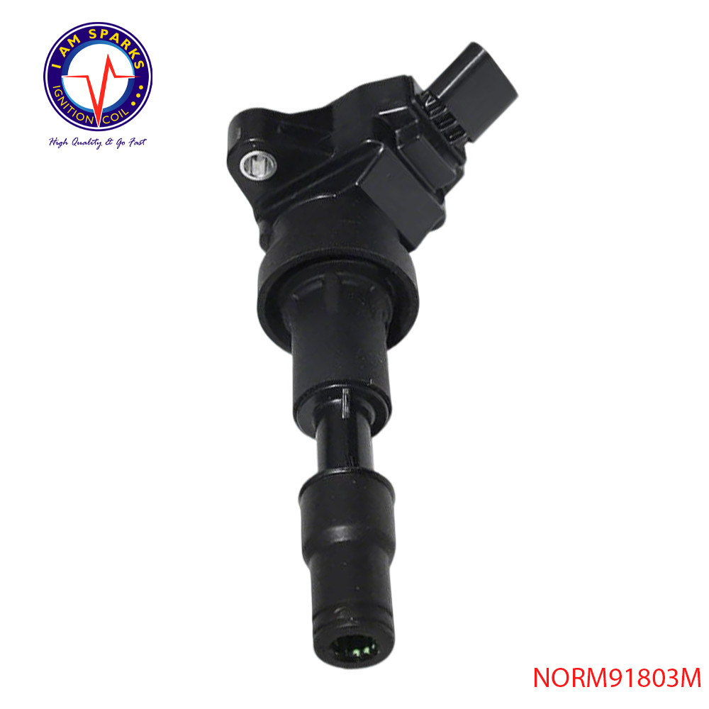 NORM91803M