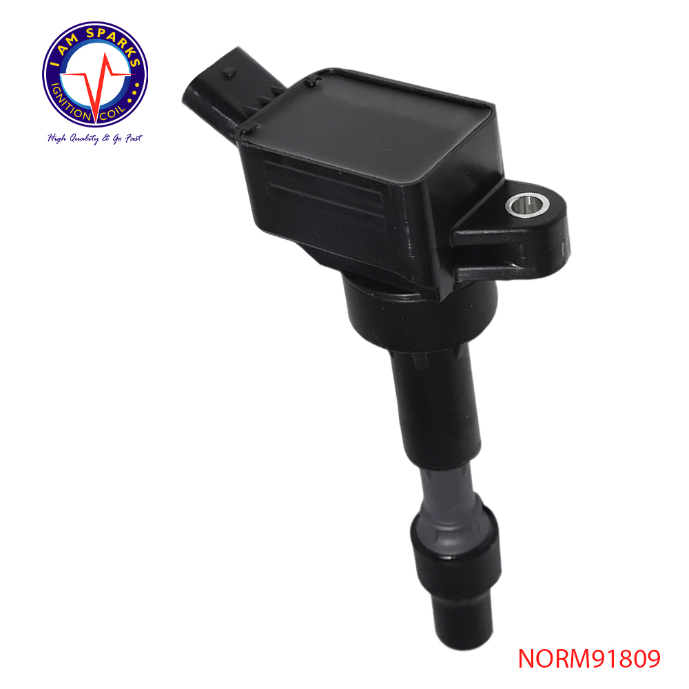 NORM91809