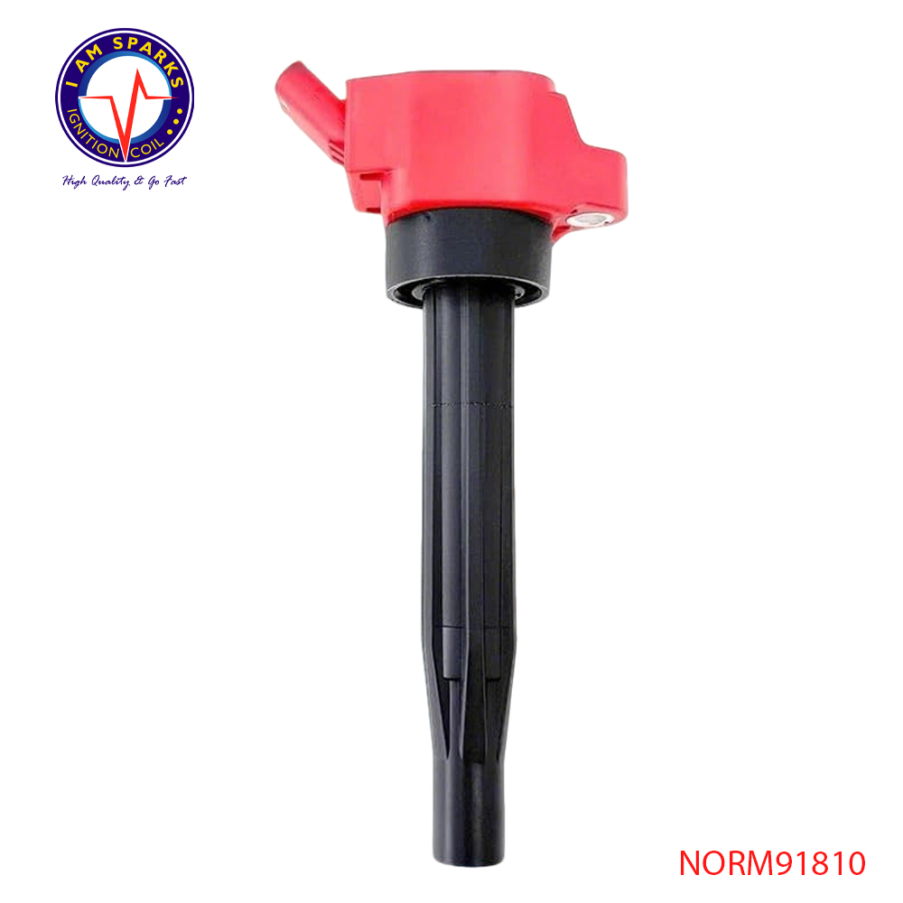 NORM91810