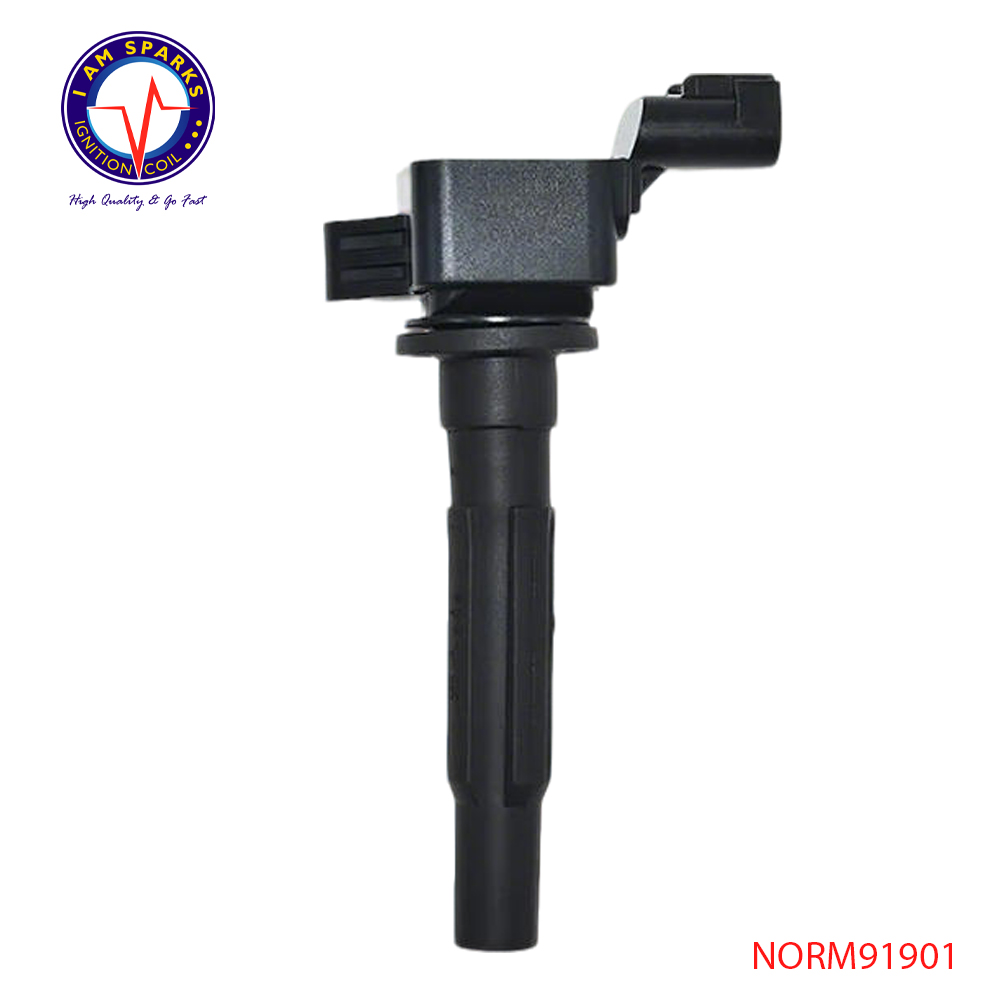 NORM91901