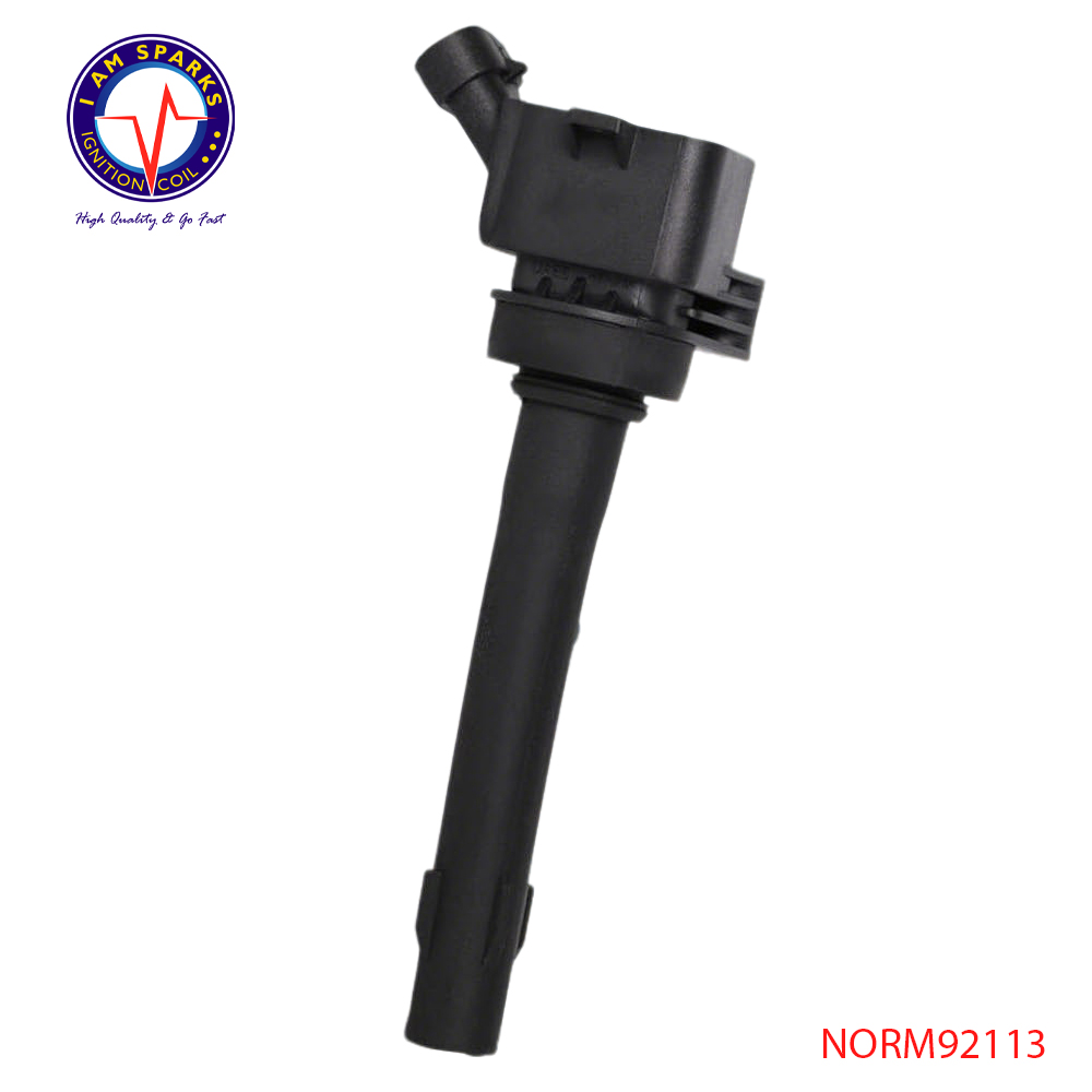 NORM92113