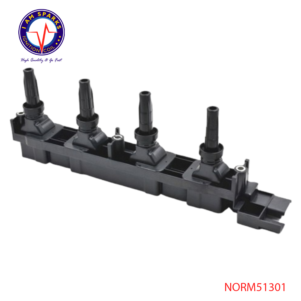 NORM51301