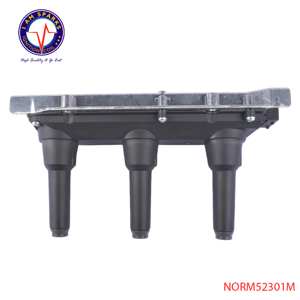 NORM52301M