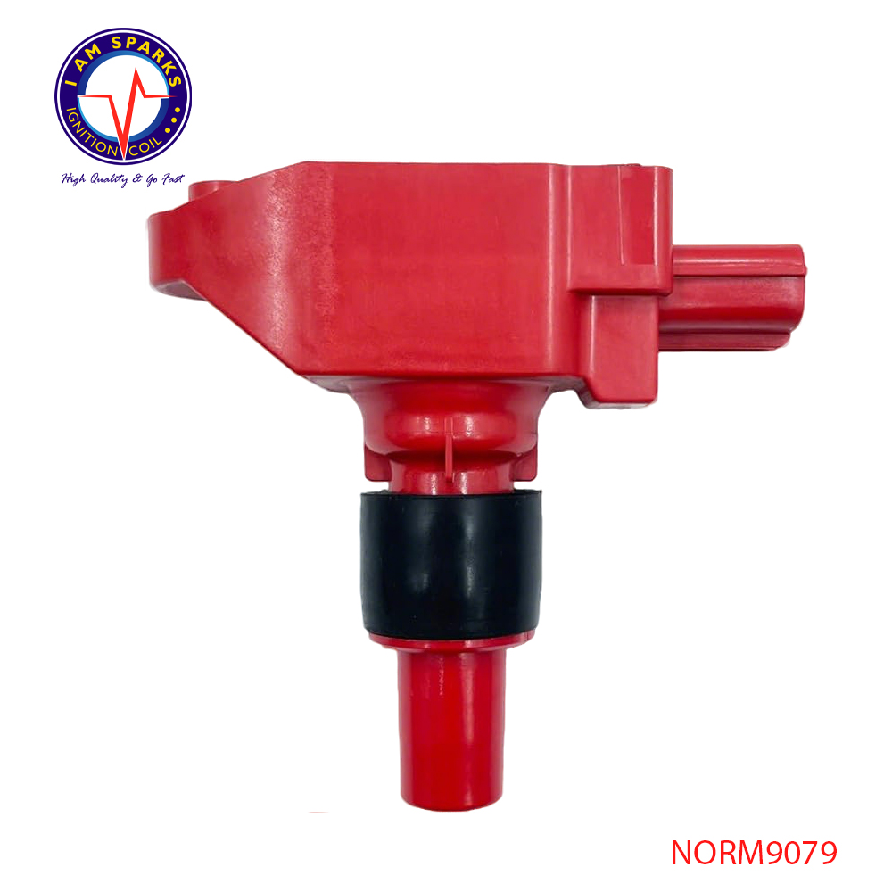 NORM9079