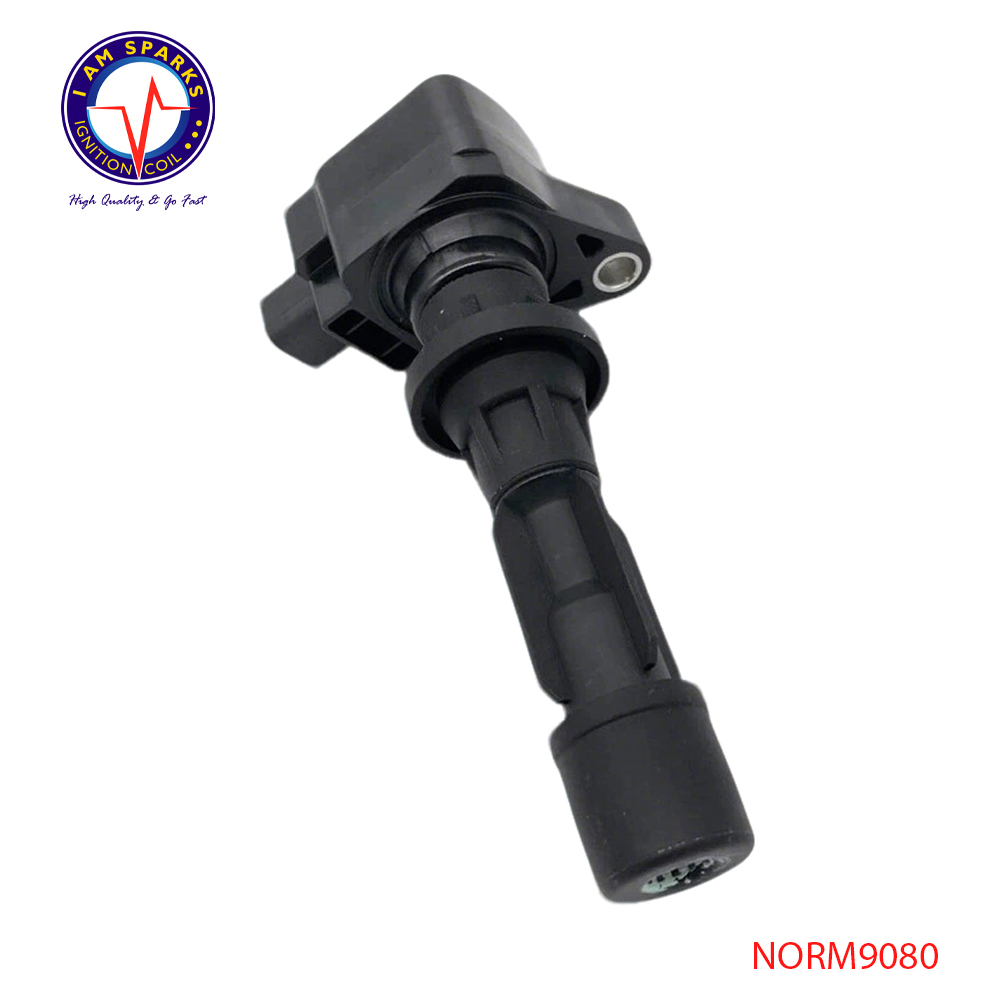 NORM9080