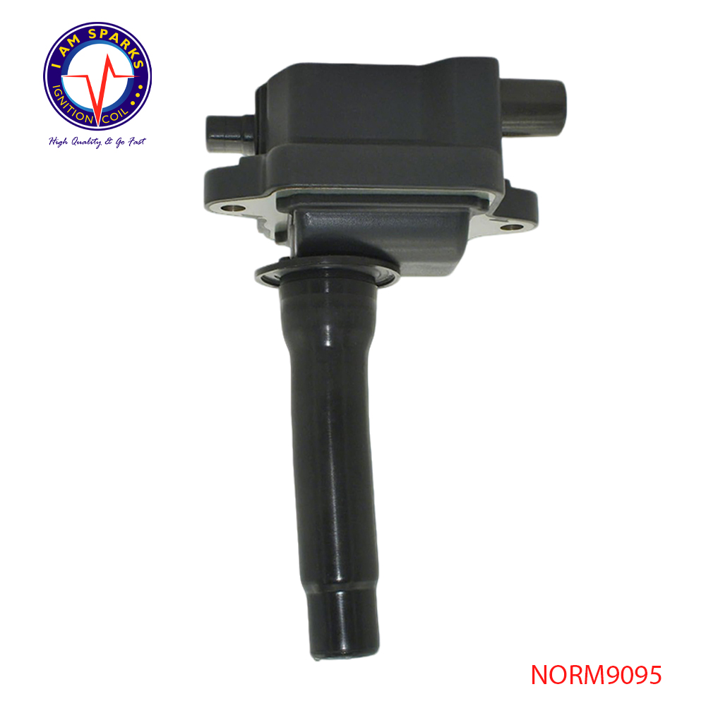 NORM9095
