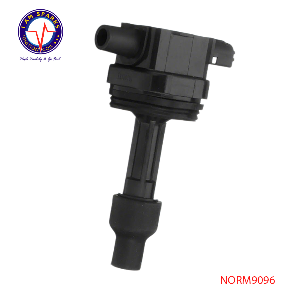 NORM9096