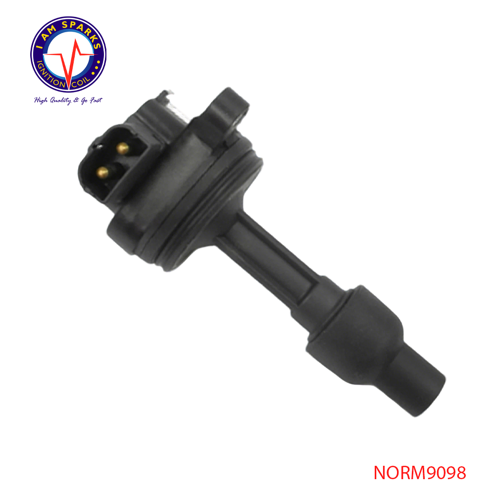 NORM9098