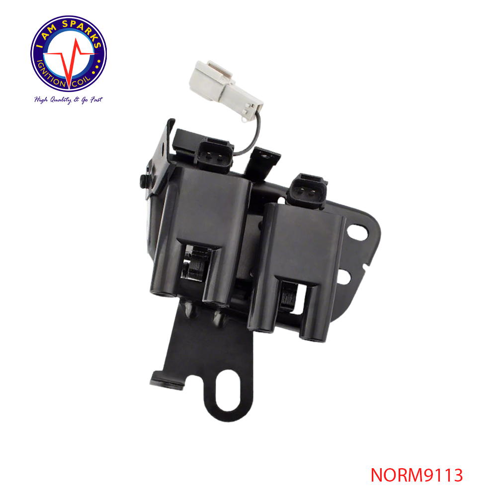 NORM9113
