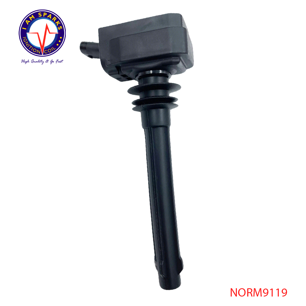 NORM9119