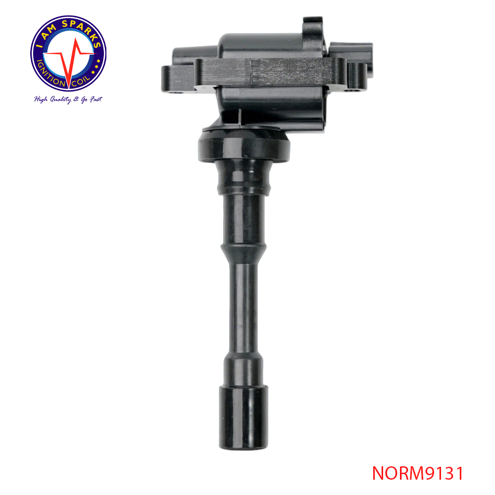 NORM9131