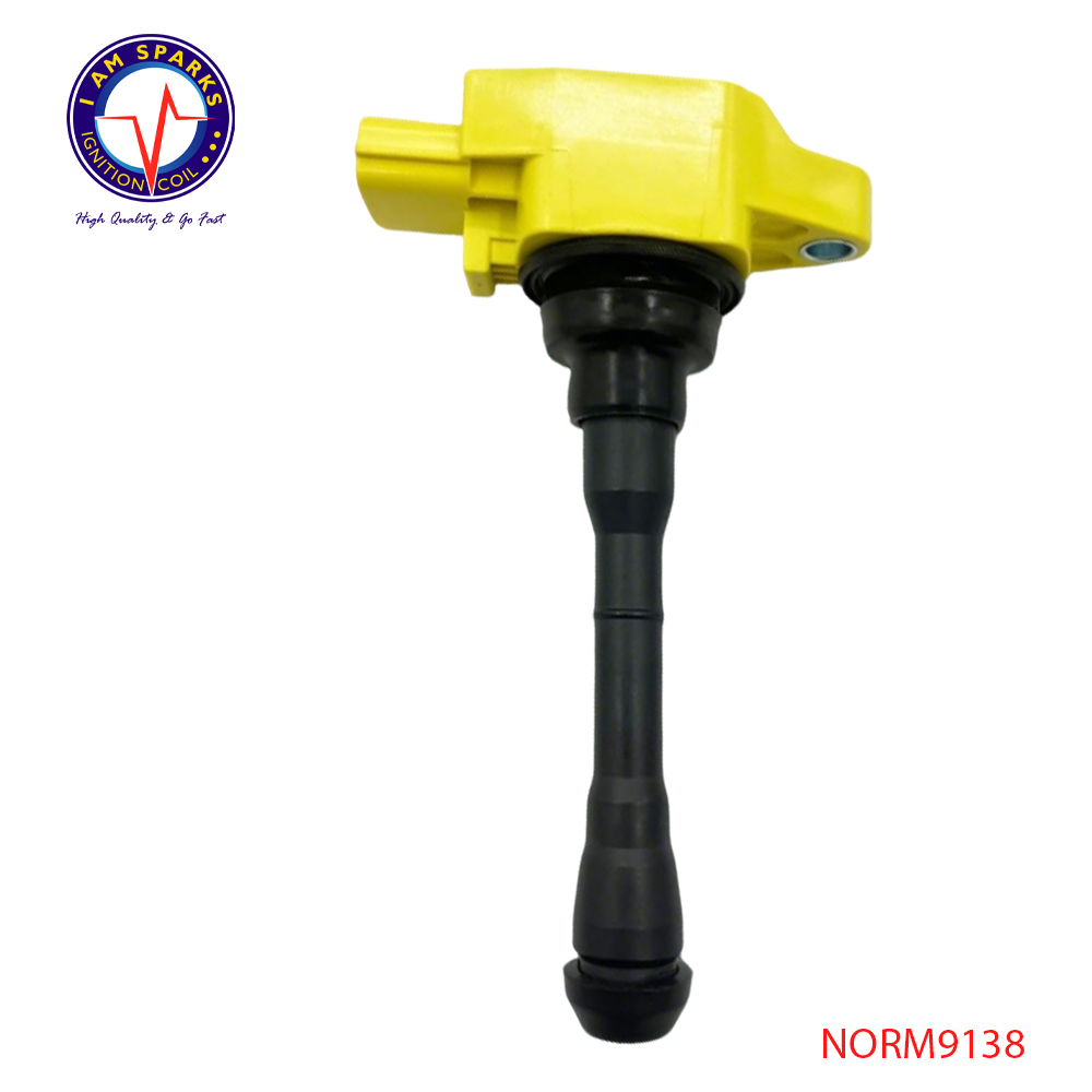 NORM9138