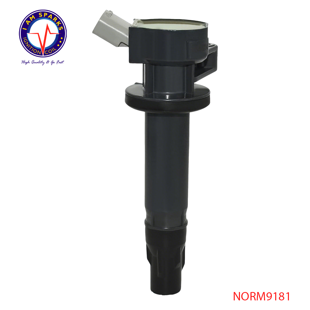 NORM9181