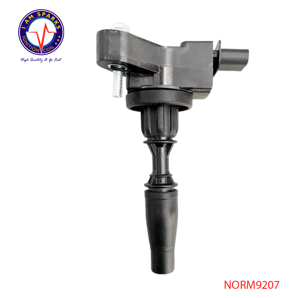 NORM9207