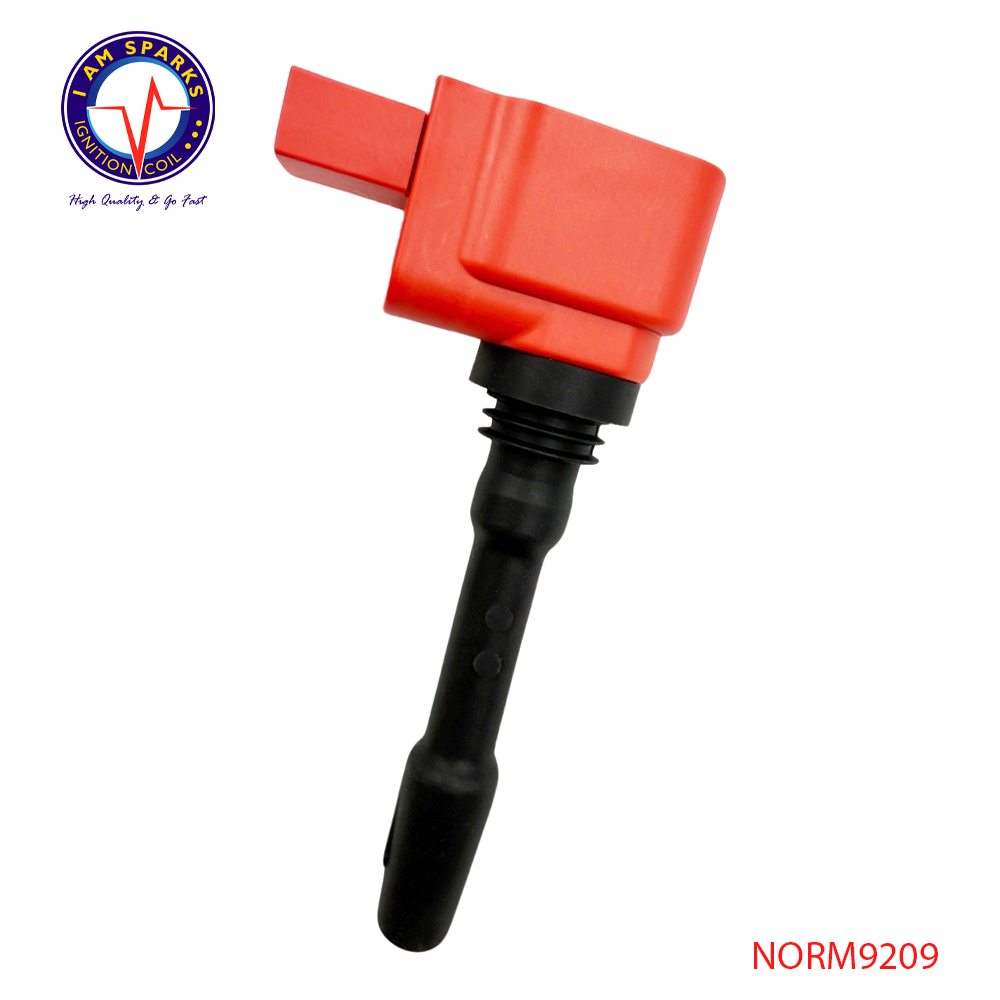 NORM9209