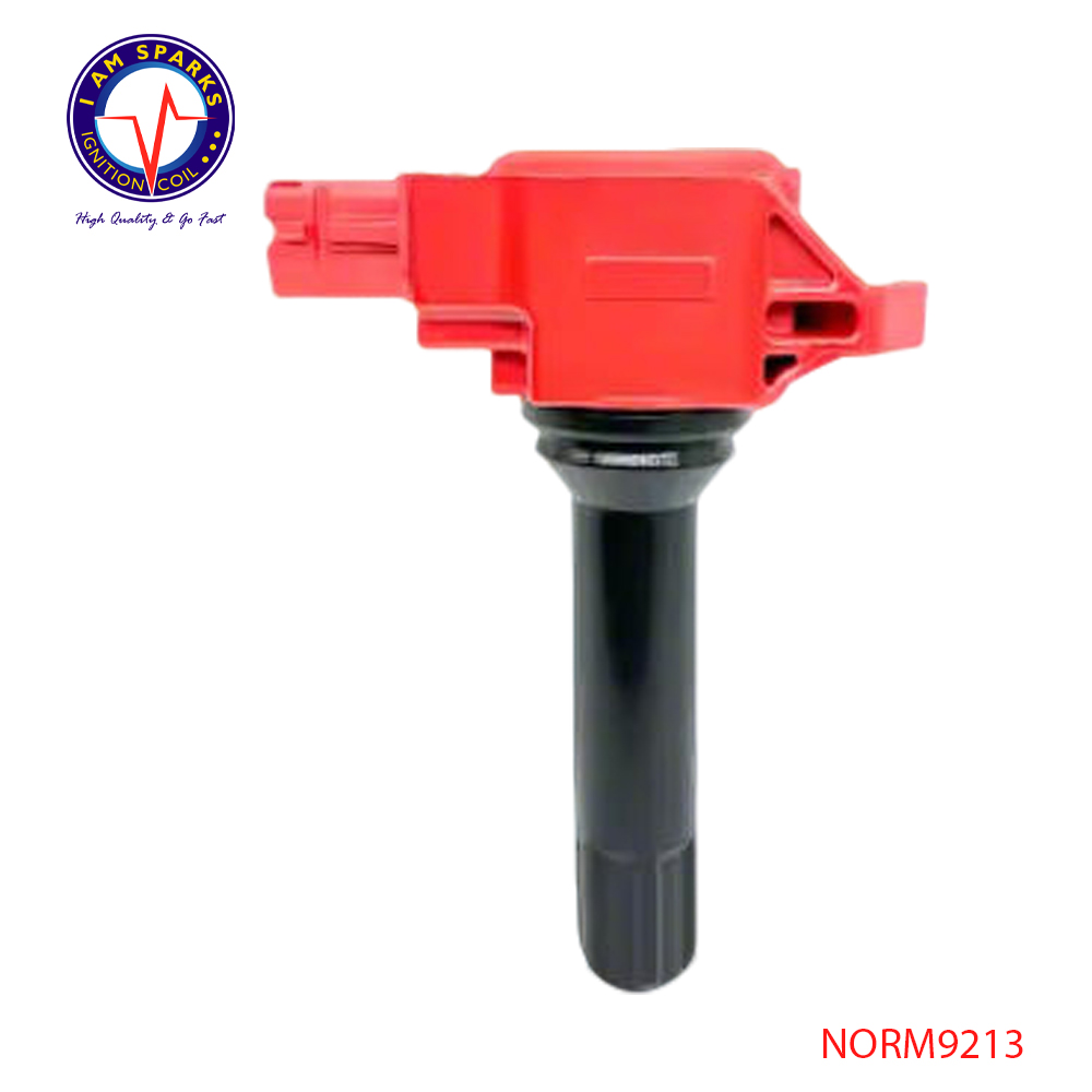 NORM9213