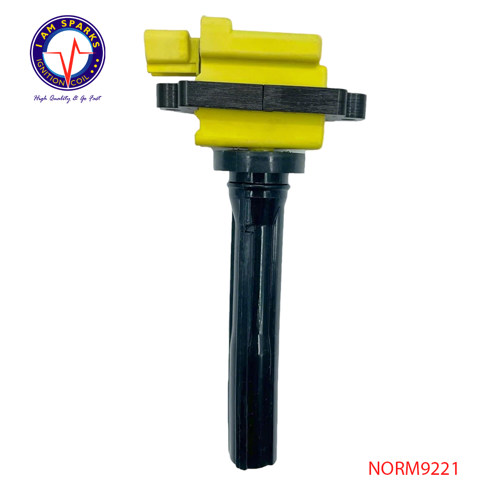 NORM9221