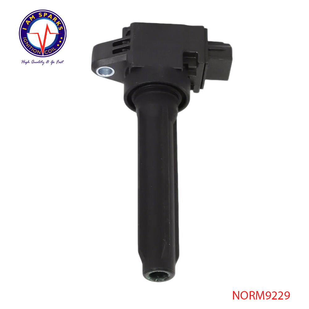 NORM9229