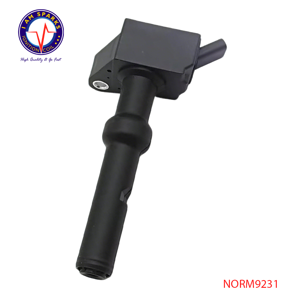 NORM9231