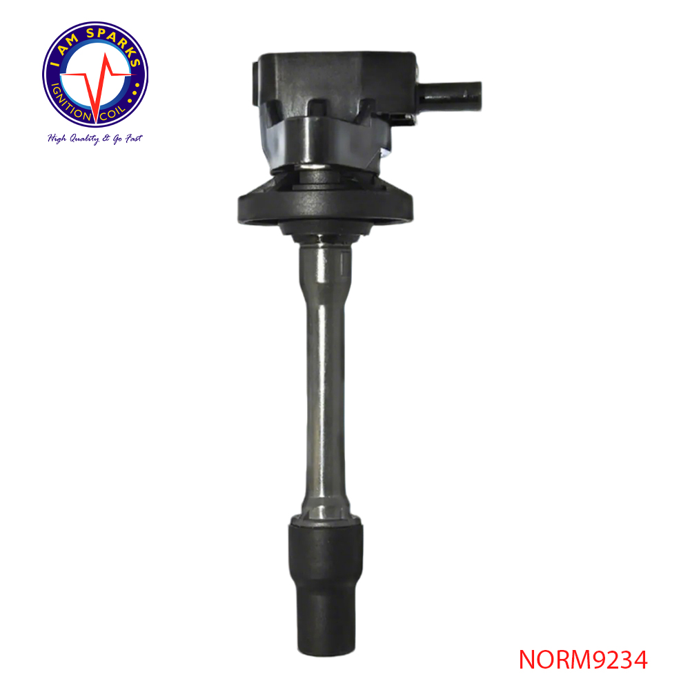 NORM9234