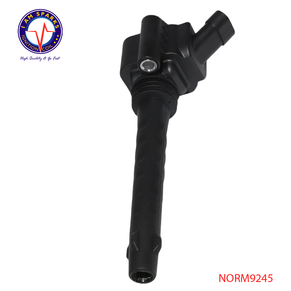 NORM9245