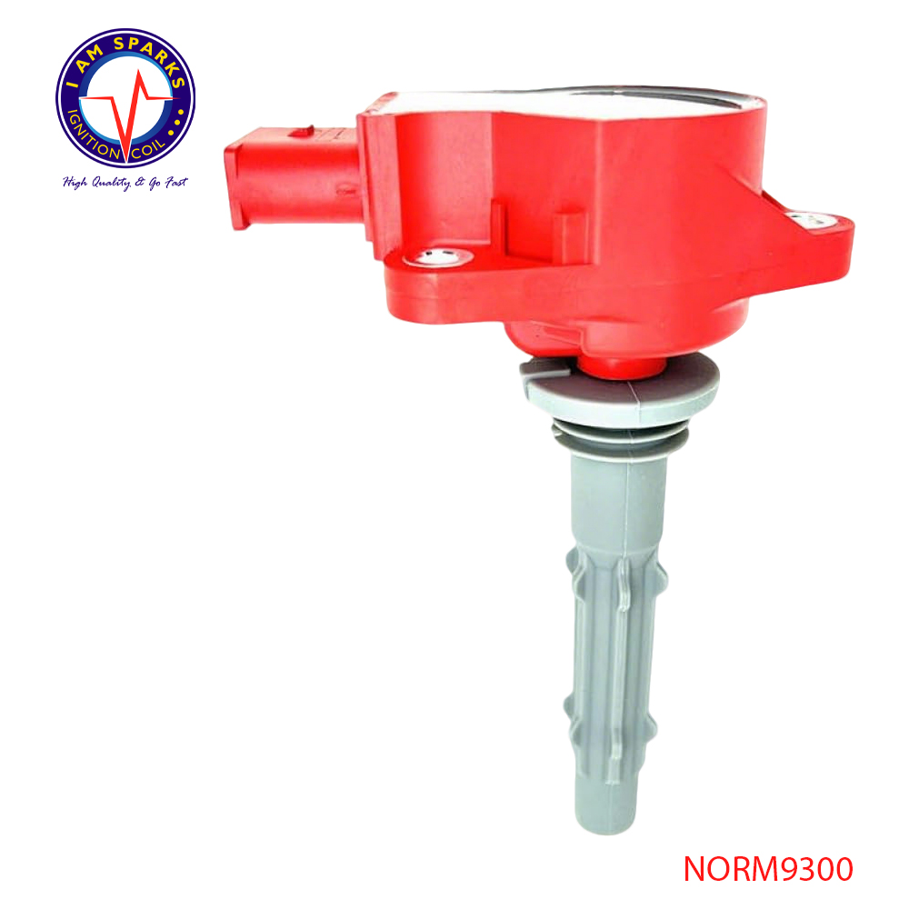 NORM9300