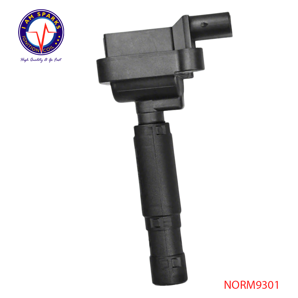 NORM9301