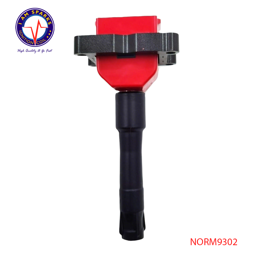 NORM9302
