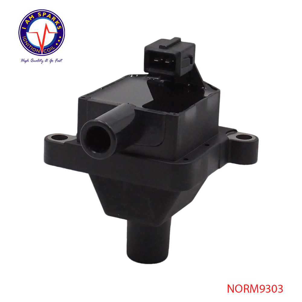 NORM9303
