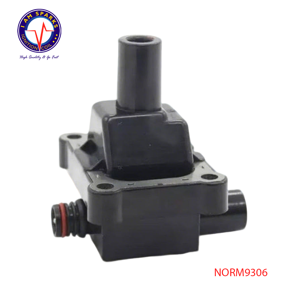 NORM9306