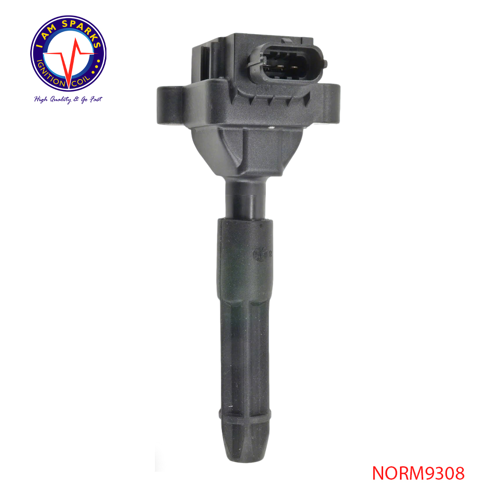 NORM9308