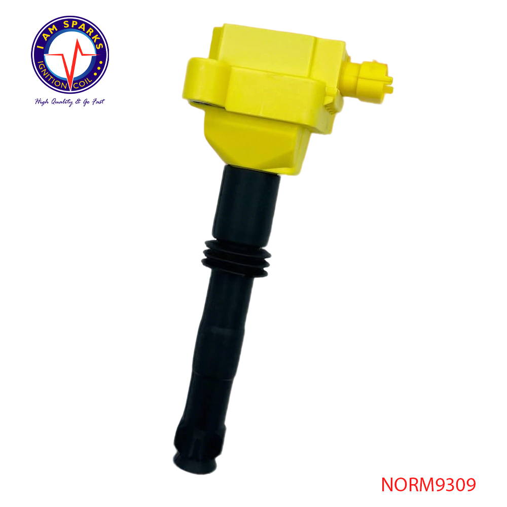 NORM9309