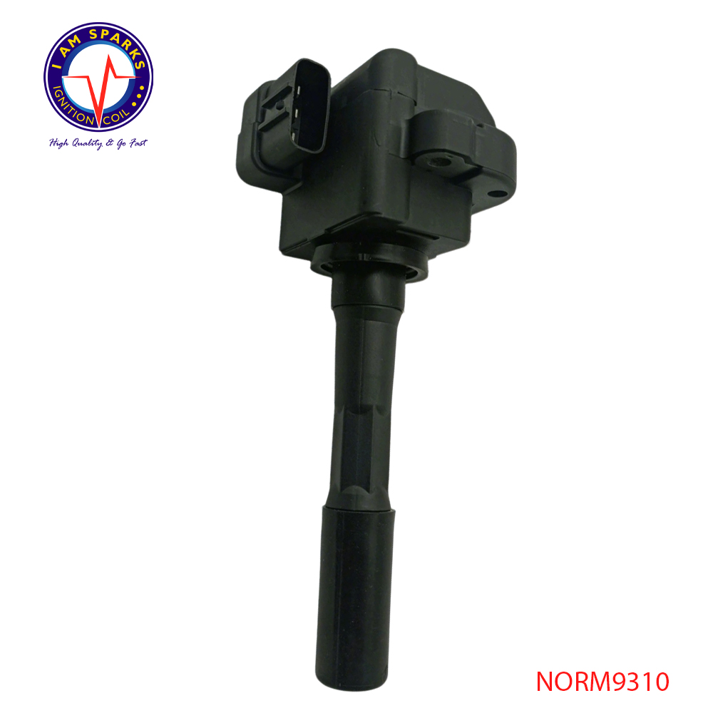 NORM9310