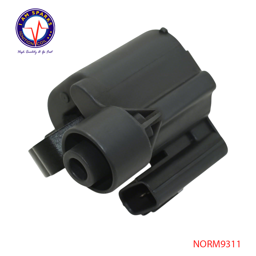 NORM9311