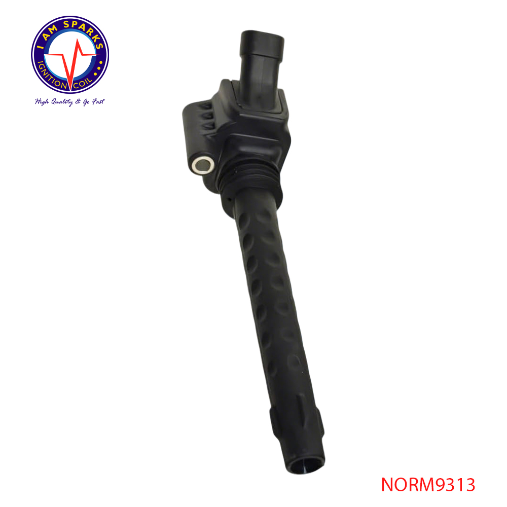 NORM9313