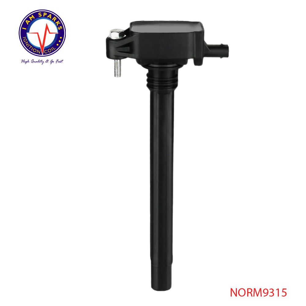 NORM9315